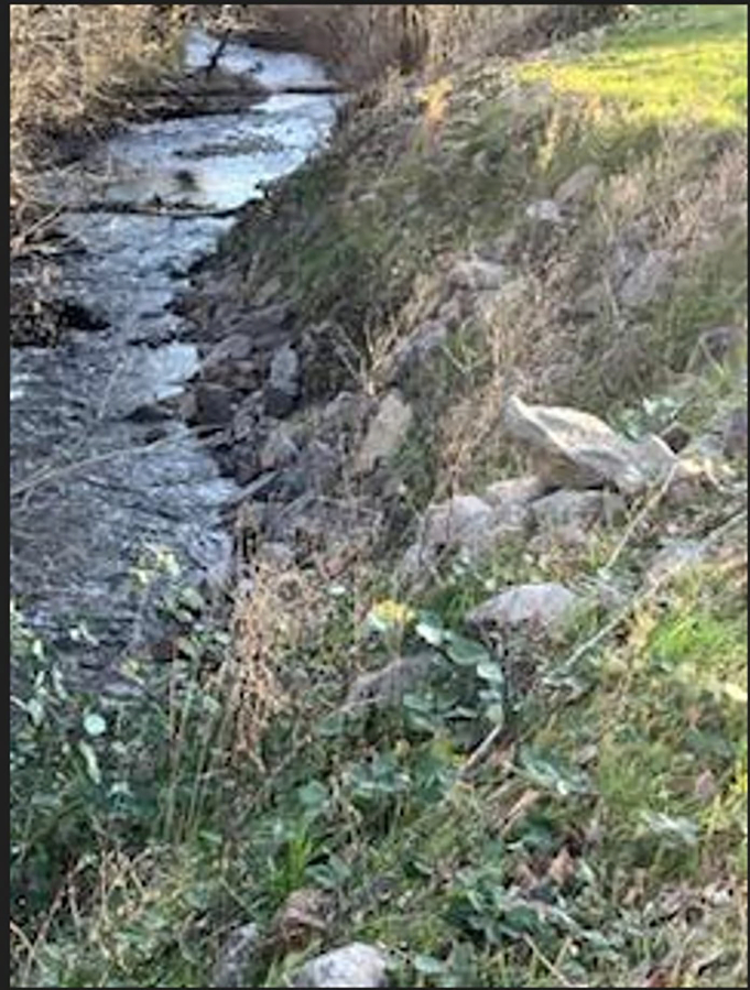 The Port of Camas-Washougal completed mitigation work at the south section of Lawton Creek in 2023, in order to provide additional protection to its levee system.