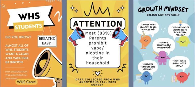 Screenshot by Doug Flanagan/Post-Record
Washougal High School&rsquo;s Breathe Easy group created a series of posters, pictured above, that display facts about local underage substance abuse and encouraging messages.