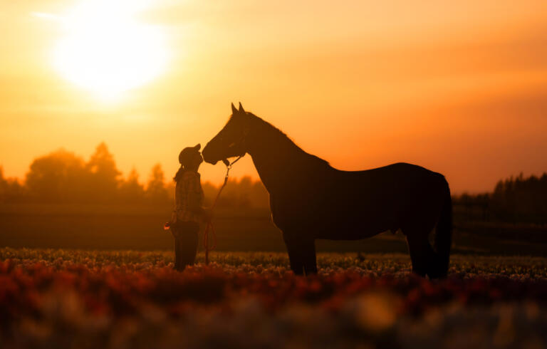 An example of Jess Kristen Peterson&rsquo;s pet photography.
