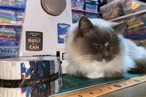 Courtesy of Abbey Crnich
Chong, Camas residents Craig Whitten and Abbey Crnich’s 11-year-old ragdoll cat, relaxes in Crnich’s sewing room in February.