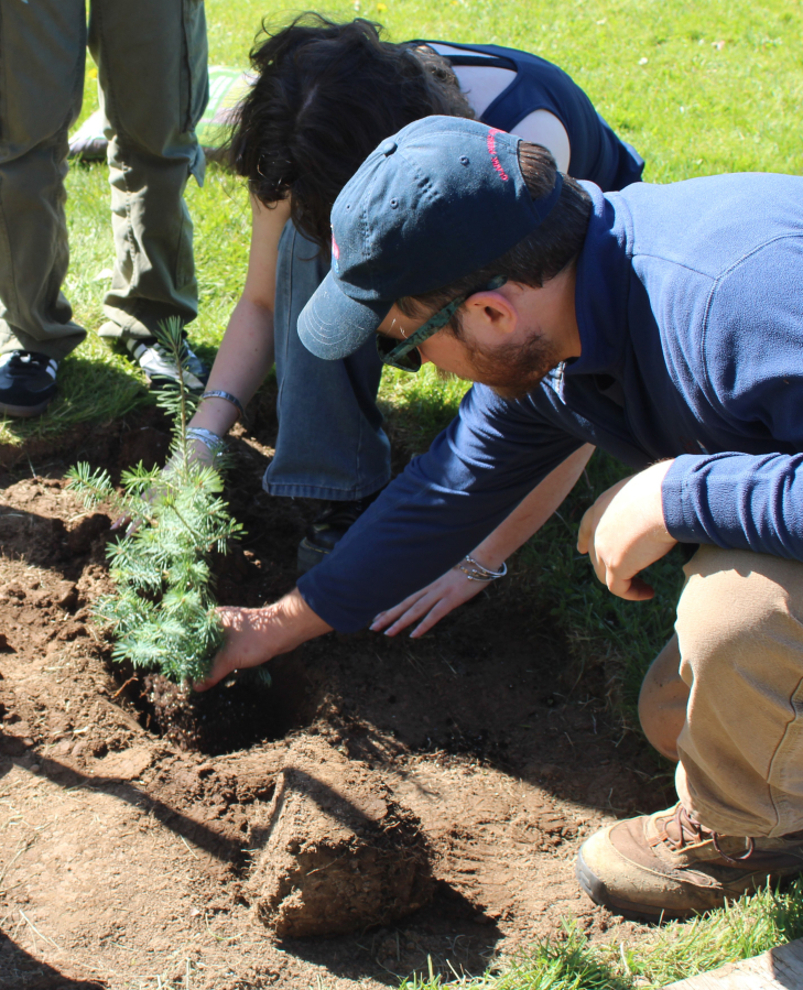 Clark Public Utilities restoration technician Shane Carter, right, and Camas High School Green Team President Sophia Johnsen, center, plant a Douglas fir sapling on a hill located on the southwest corner of the Camas High School campus on Thursday, April 17, 2025.