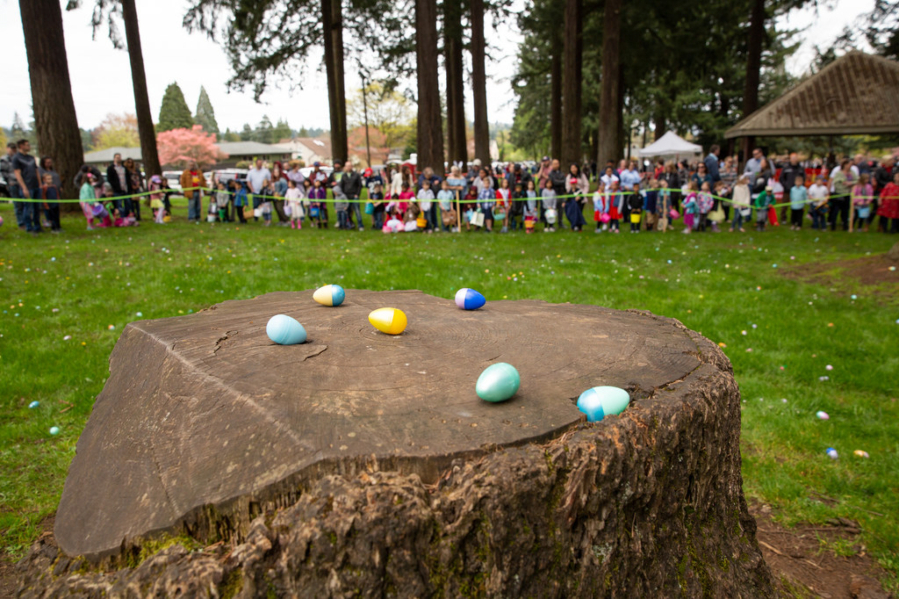 Kids searched for 12,000 eggs April 21, 2019, at the Easter egg hunt in Camas’ Crown Park. (The Columbian files)