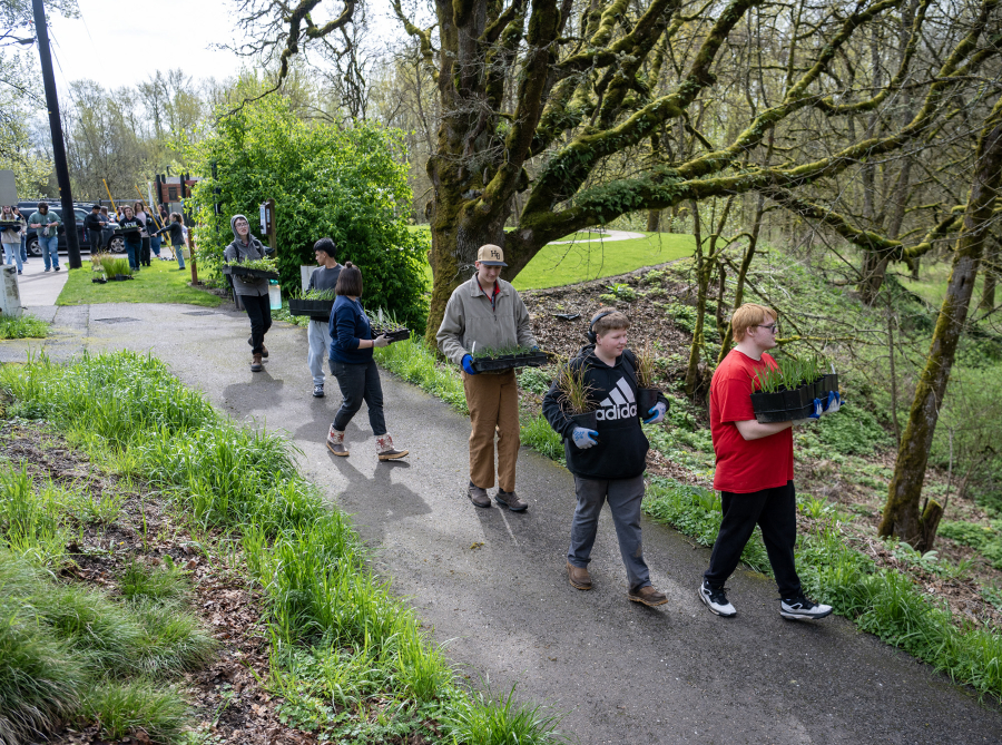 Hudson’s Bay High School students carry plants down from the parking lot Wednesday at Baz River Front Park in Camas. Students from Bay and Fort Vancouver High School removed invasive species, planted trees and planted other pollinator plants to help restore salmon habitat. (Taylor Balkom/The Columbian)