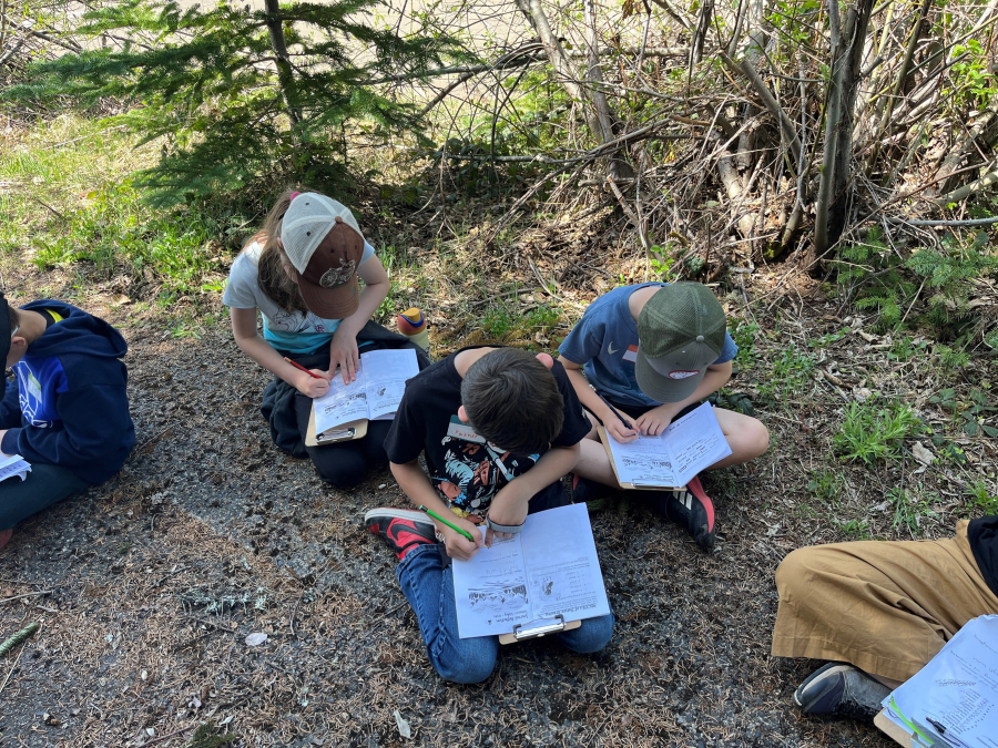 Mount St. Helens looms in the background as second- and third-grade students practice some hands-on science at the Science and Learning Center. (Gina Roberti/Mount St. Helens Institute)