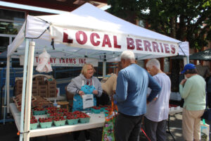 Customers line up at Theony Farms'; berry booth at the Camas Farmer's Market on Wednesday, June 11, 2025. The 18th annual market runs from 3-7 p.m. each Wednesday in downtown Camas through Oct. 1. (Kelly Moyer/Post-Record)