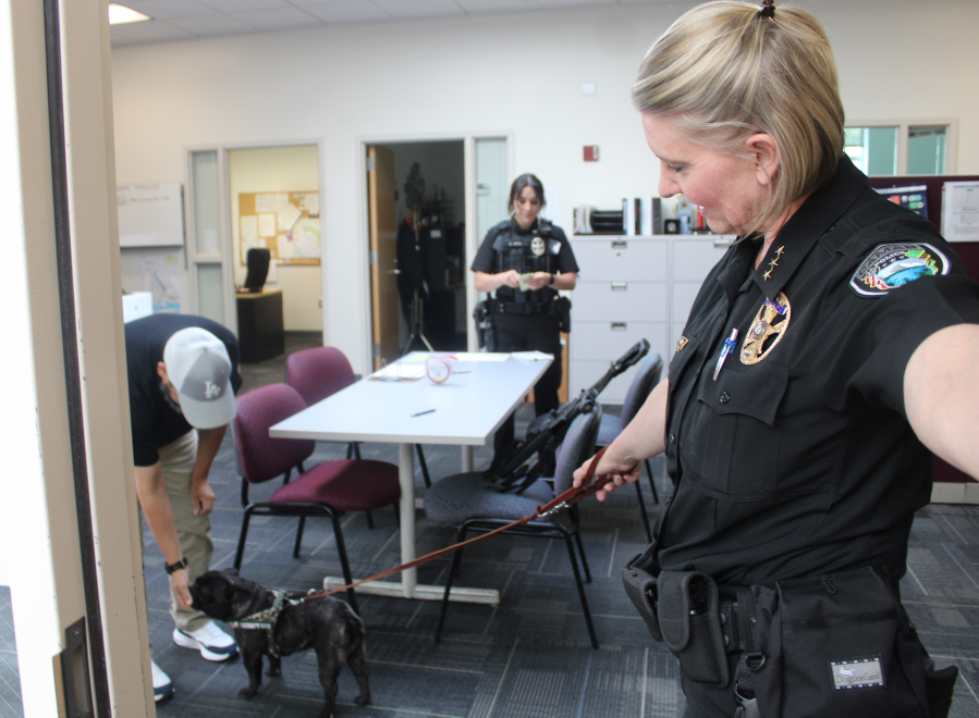 Camas Police Chief Tina Jones, right, takes her department’s new comfort dog, Doc, an 11-month-old French bulldog, to visit with staff inside the police station in Camas on July 16.