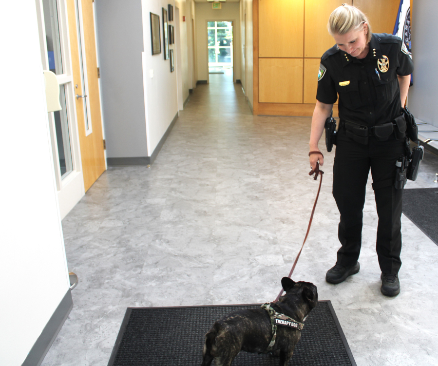 Camas Police Chief Tina Jones leads Doc, the department’s new comfort dog, to visit her staff July 16. (Kelly Moyer/The Columbian)