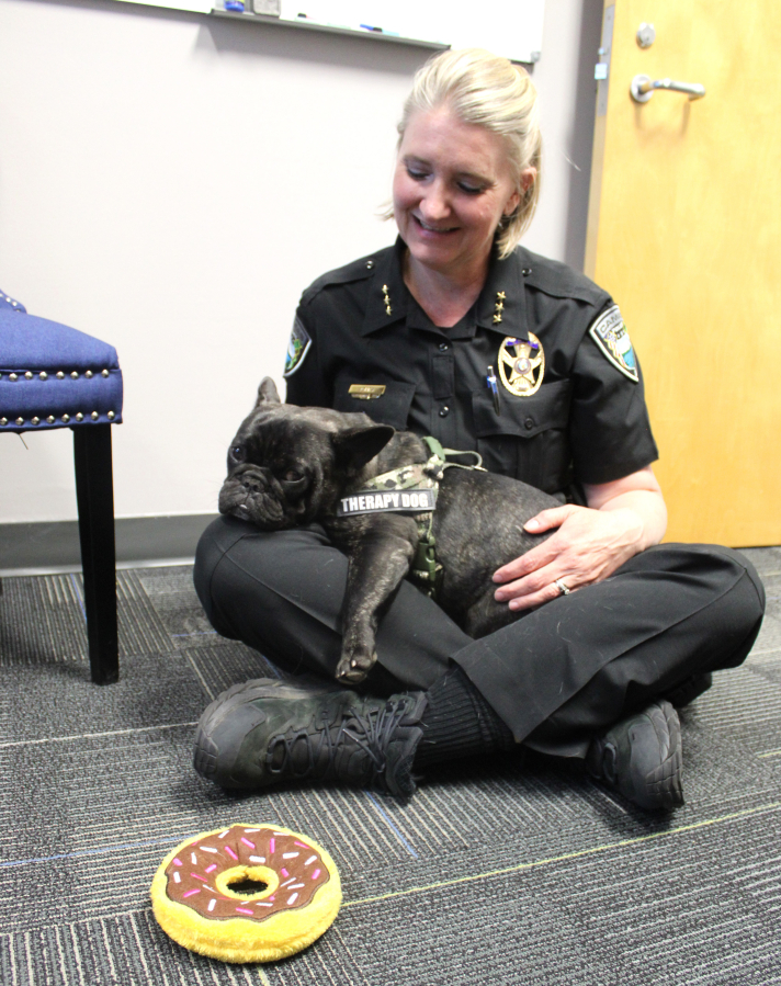 Doc, the Camas Police Department’s comfort dog, snuggles on Camas Police Chief Tina Jones’ lap inside the chief’s office in Camas on July 16. (Photos by Kelly Moyer/The Columbian)