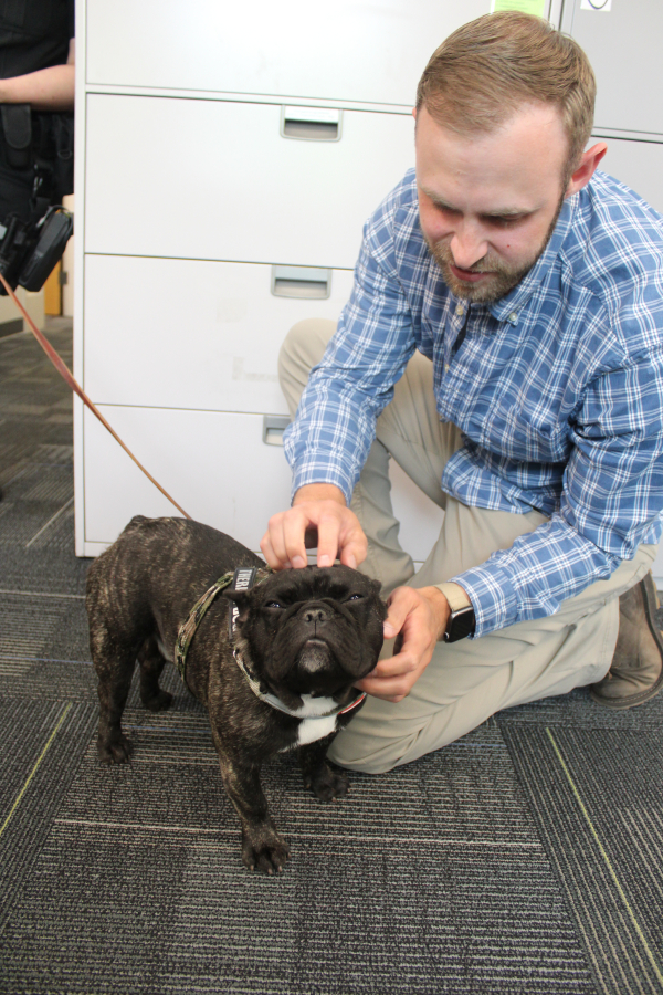 Camas police Officer Wade Ramsey pets Doc, the police department’s comfort dog, inside the police station in Camas on July 16. (Kelly Moyer/The Columbian)