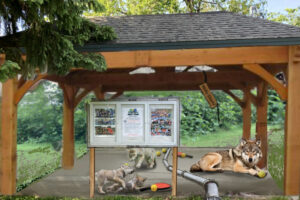 A mockup of the mural by Washougal artist Travis London that will soon grace the south side of a pump house next to the pickleball courts at Hathaway Park in Washougal. The mural design features an adult wolf, several wolf pups, pickleballs and pickleball paddles. (Courtesy of Travis London)