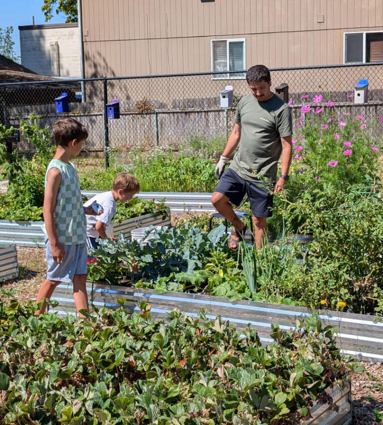 Children look at garden plots during the city of Washougal&rsquo;s first Parks Passport event at the Washougal Community Garden on July 12.