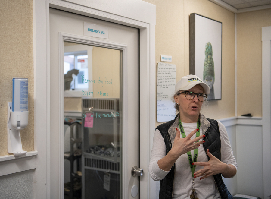 West Columbia Gorge Humane Society executive director Micki Simeone said the shelter is open Tuesday through Friday by appointment, though people should knock if they arrive during business hours because the shelter keeps the doors locked to manage traffic in the buildings. (Taylor Balkom/The Columbian files)
