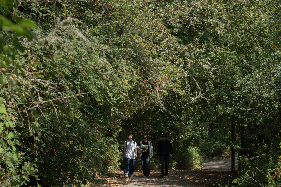 Pedestrians stroll through a dense tree canopy along the East Fork Lewis River south of La Center on Thursday morning. A new mapping tool launched by the state gives residents a look at the percentage of tree canopy in their neighborhood. (Photos by Amanda Cowan/The Columbian)