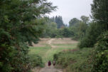 The city of Washougal&rsquo;s upcoming Schmid Family Park project will transform the 17.8-acre green space along the Washougal River, as seen Friday morning. (Amanda Cowan/The Columbian)