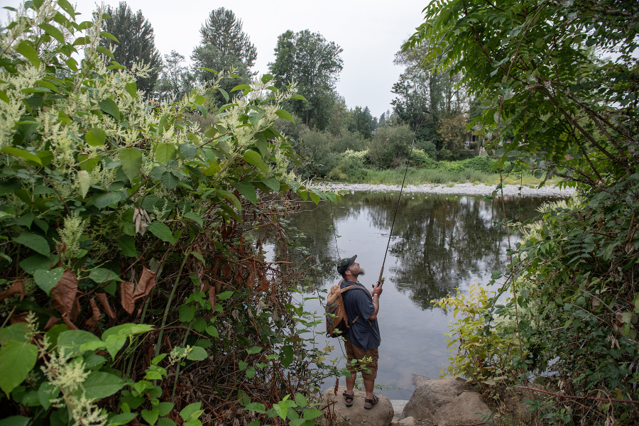 Troy Knight of Washougal hopes for a bite while fishing along the Washougal River on Friday morning. The city of Washougal&rsquo;s upcoming Schmid Family Park project will transform the 17.8-acre green space along the Washougal River. (Amanda Cowan/The Columbian)