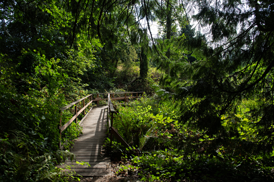 A bridge leads the way to East Biddle Lake at Columbia Springs in Vancouver on Monday morning. It’s one of several properties acquired by Clark County’s Legacy Lands program. (Amanda Cowan/The Columbian)
