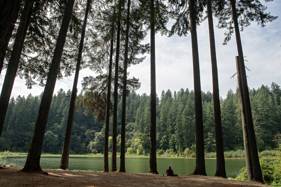 A visitor takes in the beauty of Fallen Leaf Lake in Camas on Monday morning. The park is one of dozens of properties Clark County has purchased through its Legacy Lands program, which is celebrating its 40th anniversary in October. (Amanda Cowan/The Columbian)