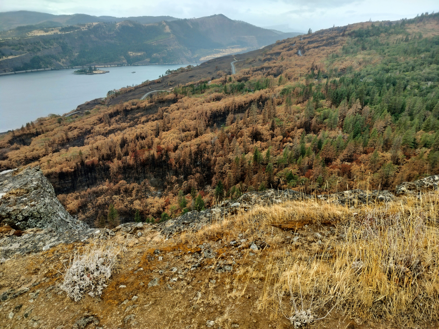 This is a view over the edge of Coyote Wall into the valley to the west. (Scott Hewitt/The Columbian)
