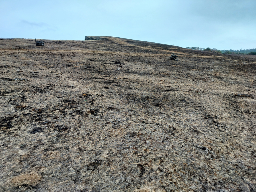 A mid-September visit to the Coyote Wall Recreation Area in the Columbia River Gorge, about six weeks after the Burdoin Fire, reveals burned landscape. The U.S. Forest Service expects robust regrowth this coming winter and spring — and will help that along with some native replantings too. (Scott Hewitt/The Columbian)