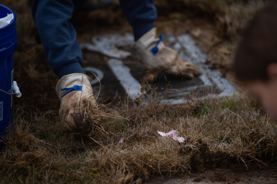 The Fort Vancouver chapter of the Daughters of the American Revolution&rsquo;s cemetery committee convened a work party at Brush Prairie Cemetery on a recent Saturday. (James Rexroad/for The Columbian)