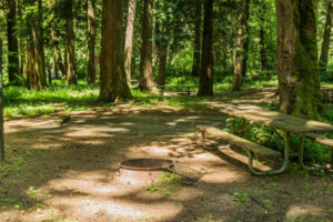 A campground at Paradise Point State Park. (Washington State Parks)