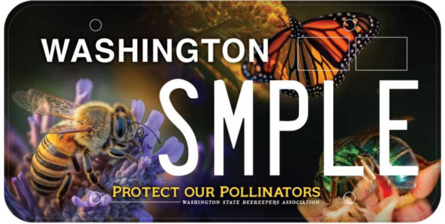 This is a sample of the pollinators specialty license plate to become available in Washington starting in late 2025. (Courtesy of Washington State Beekeepers Association)