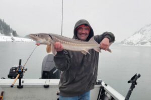A winter sturgeon taken in the Bonneville Pool while fishing with guide Marvin Henkel a few years back. Snow, ice, wind, and cold have been the normal conditions most winters, but warm weather has blown up the fishery in recent years. (Photos courtesy of Marvin&rsquo;s Guide Service)