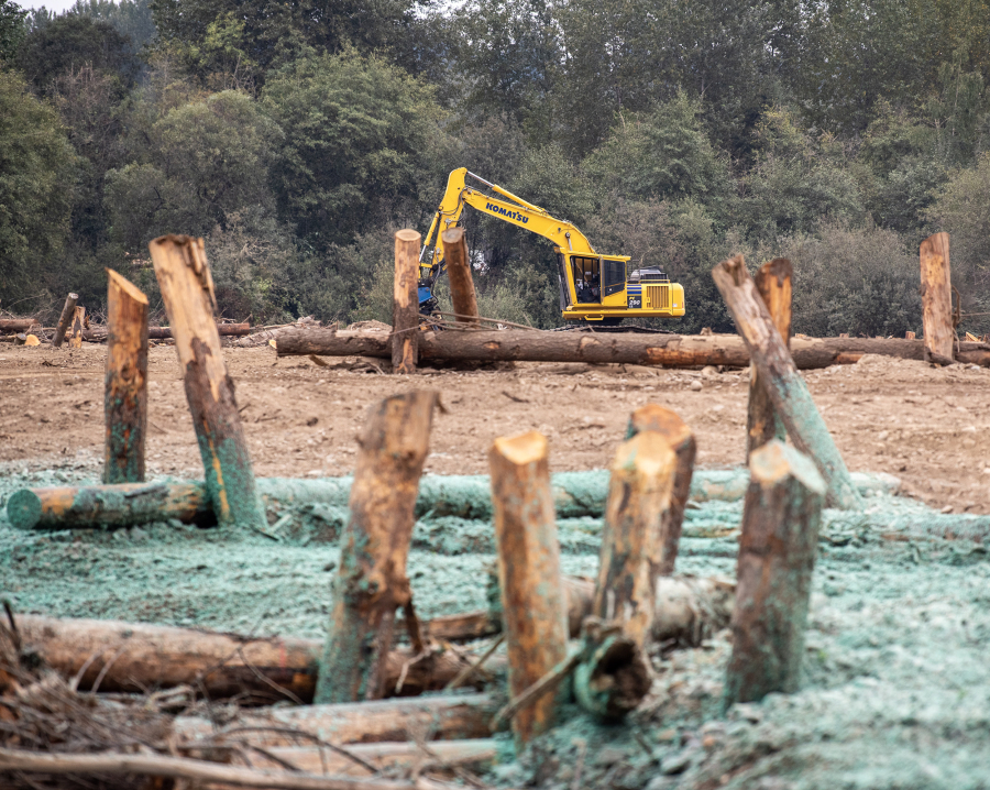 An excavator sits behind placed trees along the future braided path of the East Fork Lewis River on Sept. 11 in Battle Ground as part of Lower Columbia Estuary Partnership&rsquo;s major habitat restoration project on the East Fork Lewis River.