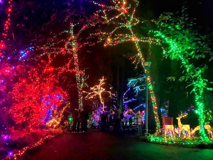 The landscape is lit up like...well, like Christmas.