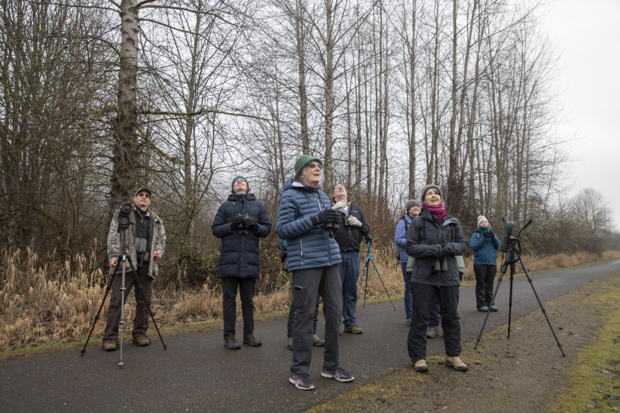 Dedicated birdwatchers &mdash; led by Vancouver Audubon officer Cindy McCormack, front right &mdash; stop to listen and look on a cold February morning along the Salmon Creek Greenway Trail. In December, Vancouver Audubon will celebrate 50 years of conservation and protection of native birds. (The Columbian file photos)