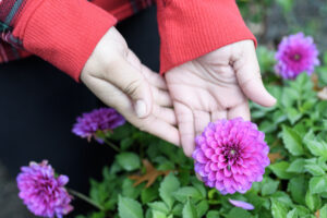 After receiving a deportation order, Katerin found low-cost legal help. Now she feels safe working in her garden again.