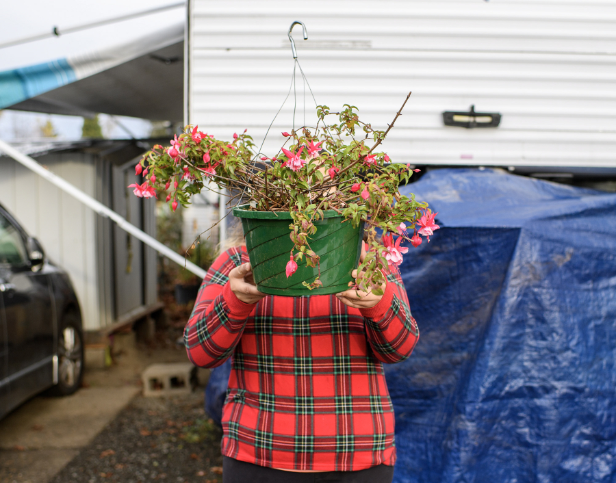 A woman The Columbian is identifying only as Katherin has struggled her way through immigration court to finally feel safe working in her garden again. (Taylor Balkom/The Columbian)