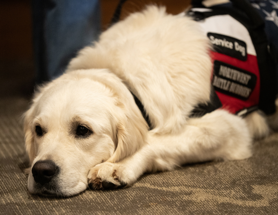 Cinder, a service dog, lies at the feet of veteran Rachel Lopez on Friday during a Northwest Battle Buddies graduation ceremony at Royal Oaks Country Club in Vancouver.