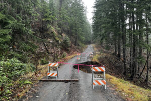Forest Road 64 in the Gifford Pinchot National Forest remains closed after heavy rains washed a large section of the road away. Along with several road closures, the heavy rains have led to flooding, slides, areas of downed trees and other environmental damage such as loss of wildlife habitat. (Contributed by the U.S. Forest Service)