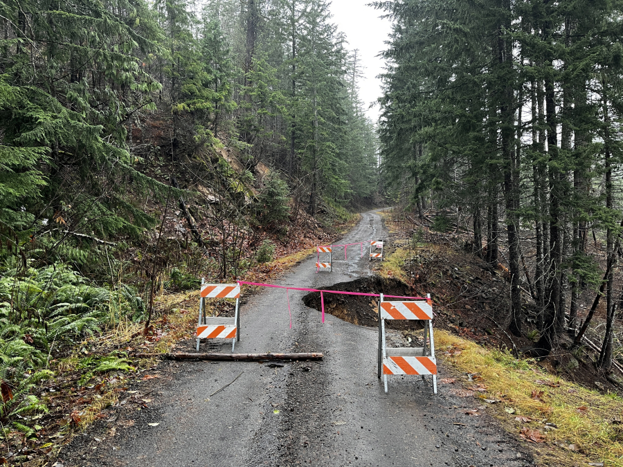 Forest Road 64 in the Gifford Pinchot National Forest remains closed after heavy rains washed a large section of the road away. Along with several road closures, the heavy rains have led to flooding, slides, areas of downed trees and other environmental damage such as loss of wildlife habitat. (Contributed by the U.S. Forest Service)