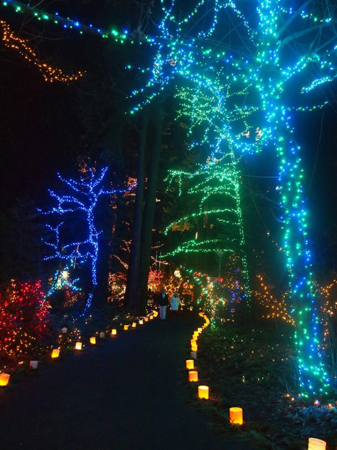 Christmas Festival of Lights features holiday light displays, outdoor caroling, indoor choral concerts and more through Dec. 30 at the Grotto in Portland. (Contributed photo)