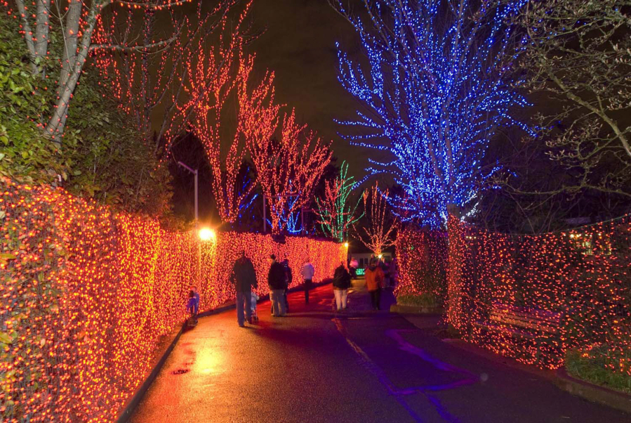 ZooLights at the Oregon Zoo continues through Jan. 4. (Contributed photo)