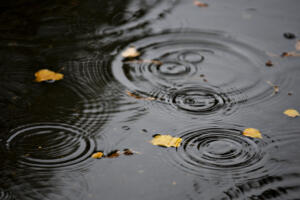 According to the National Weather Service, 2026 is a &ldquo;La Ni&ntilde;a&rdquo; year, which typically means more rainy days. (amanda cowan/The Columbian files)