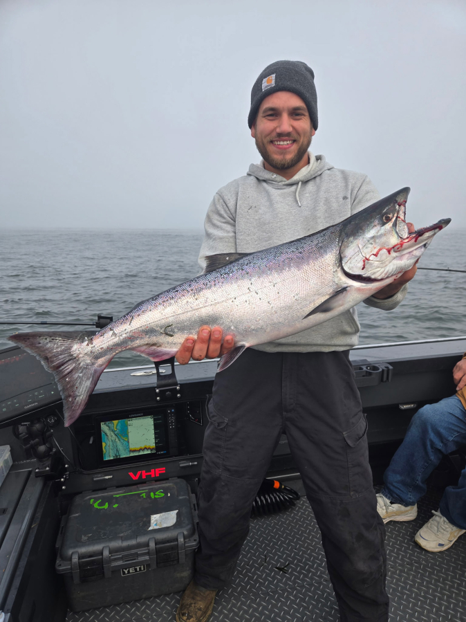Chrome-bright fall chinook like this one from last year may be about as numerous this season as last year at Buoy 10. The fall chinook outlook, which the WDFW has just released, points to a possible run similar to 2025. (Photo courtesy Matt Halseth Guide Service)