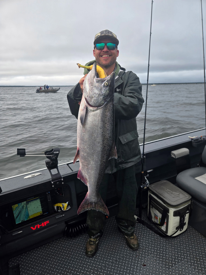 This fine fall Chinook was caught while fishing with the Matt Halseth Guide Service. The states recently released the outlook for the 2026 fall salmon returns to the Columbia River. (Photo courtesy Matt Halseth Guide Service)