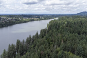Lacamas Lake, at left, stretches into the distance on June 13, 2023, in Camas. The north shore of the lake, at right, will see development soon. (Taylor Balkom/The Columbian files)
