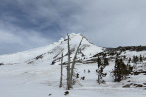 Usually buried under feet of snow at this point on the calendar, vegetation pokes out of the ground at 6,550 feet above sea level on Mt. Hood at the top of the Vista Express on Tuesday at Mt. Hood Meadows. (Micah Rice/The Columbian)
