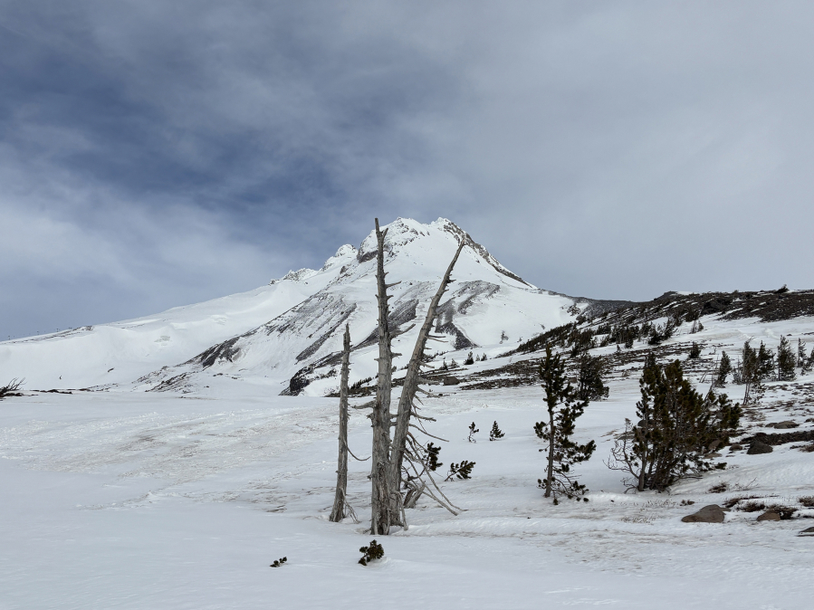 Usually buried under feet of snow at this point on the calendar, vegetation pokes out of the ground at 6,550 feet above sea level on Mt. Hood at the top of the Vista Express on Tuesday at Mt. Hood Meadows. (Micah Rice/The Columbian)