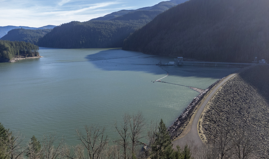 Swift Dam holds back Swift Reservoir on Jan. 16 in Cougar. Renewable energy developers face several hurdles when building projects in the Pacific Northwest. Public opposition, like that facing Swift Dam&rsquo;s operator PacifiCorp over its proposed Clark County transmission project, is one of them. (Photos by Taylor Balkom/The Columbian)