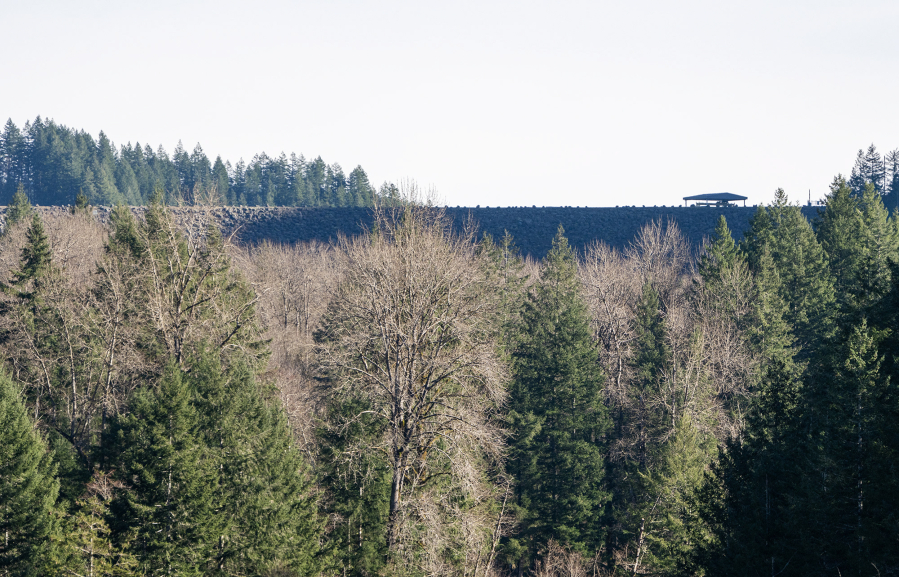 The Swift Dam rises above the treetops Jan. 16 in Cougar. PacifiCorp, which manages most of the hydro facilities along the Lewis River, wants to run a new 230kV power line from Swift Reservoir to Troutdale, Ore. (Photos by Taylor Balkom/ The Columbian)