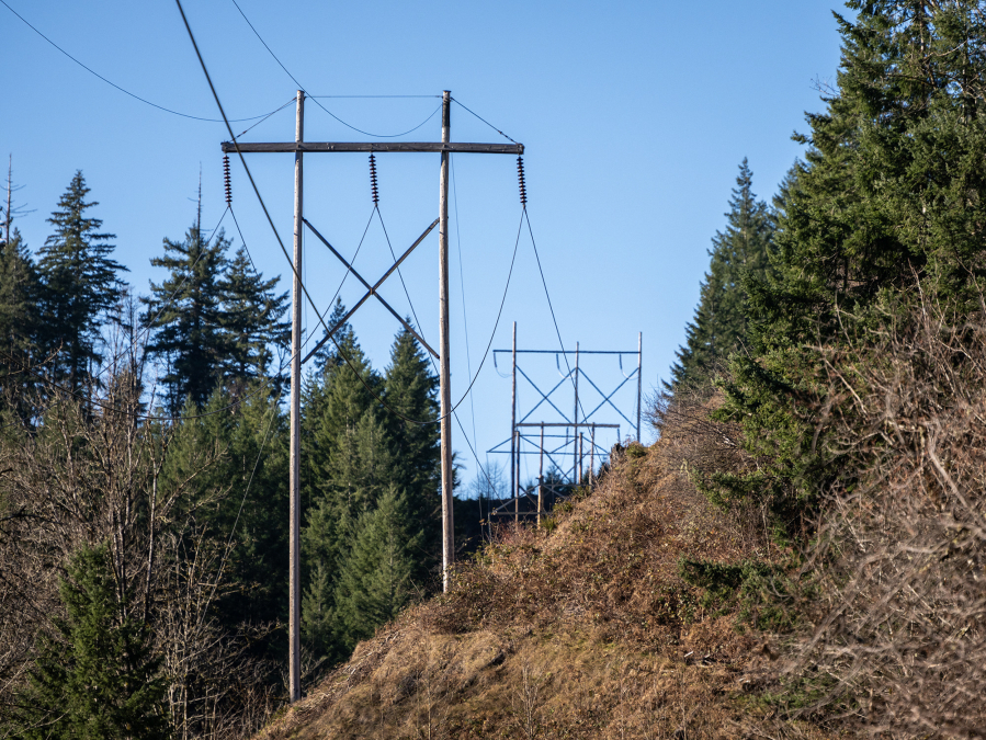 Transmission poles support wires Jan. 16 near the Swift Dam in Cougar. Getting power from renewable energy sources to customers is one of the challenges renewable energy developers face when building new projects. (Taylor Balkom/The Columbian)