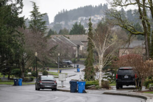 Northwest Lacamas Drive winds between homes along Lacamas Lake in Camas. (Taylor Balkom/The Columbian)