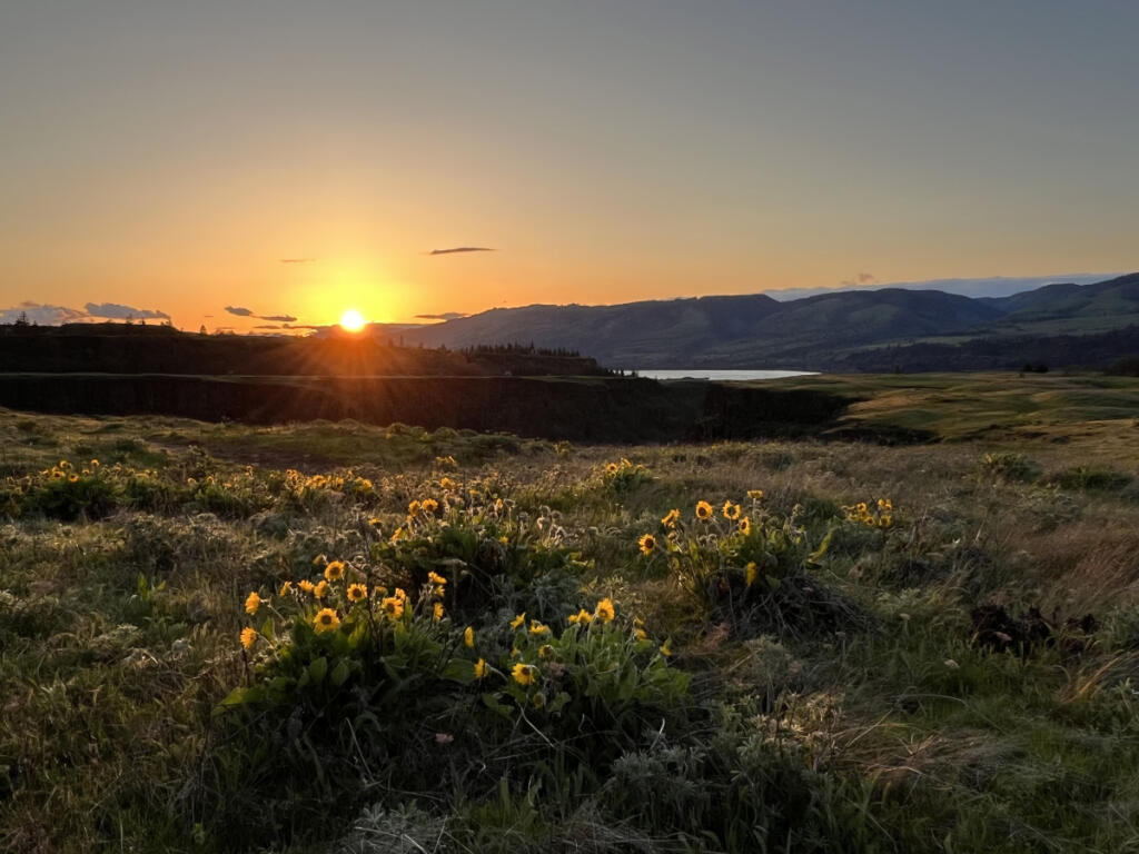 If you hike the eastern Columbia River Gorge in the afternoon, you&rsquo;ll catch the golden rays of sunset like this view of Rowena Crest near Mosier, Ore., in April 2025. (Jessica Prokop/The Columbian)
