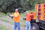 A volunteer with the Vancouver Wildlife League releases a pheasant into the Shillapoo Wildlife Area west of Vancouver. The pheasants are raised by the Bob Oke Game Farm for the Western Washington Pheasant Release Program. (Terry Otto for The Columbian)