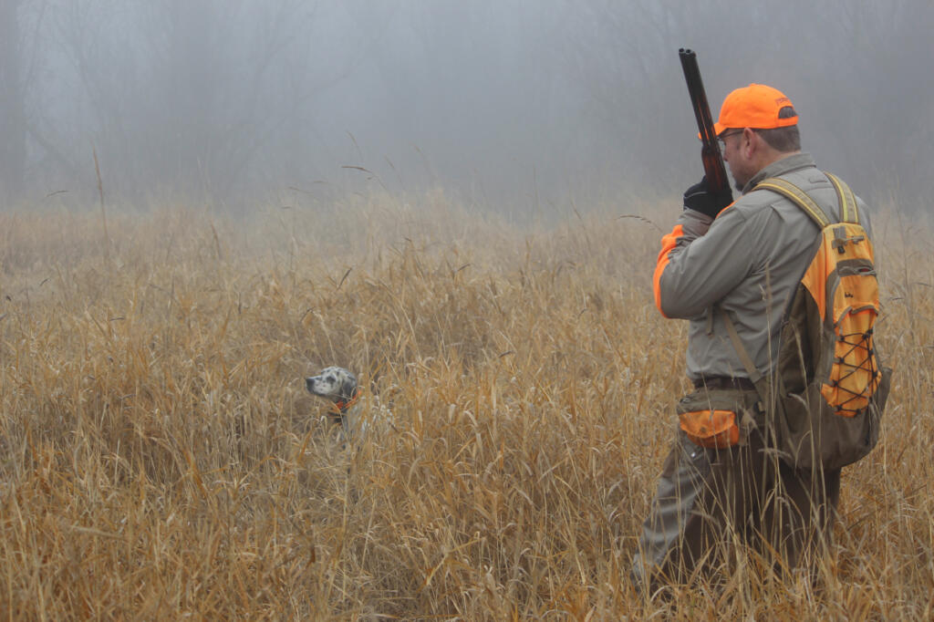 A local hunter approaches a dog pointing to a pheasant on the Shillapoo Wildlife Area west of Vancouver. The birds are raised at the Bob Oke Game Farm near Centralia. (Terry Otto for The Columbian)
